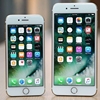 Wholesale Low Price Original Used Phones Used Mobile Phones for IPhone 6 6s 5 5c 7 8 Plus X Xr Xs Max Unlocked Smart Phones